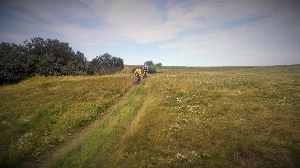 Head for the Hills (1)