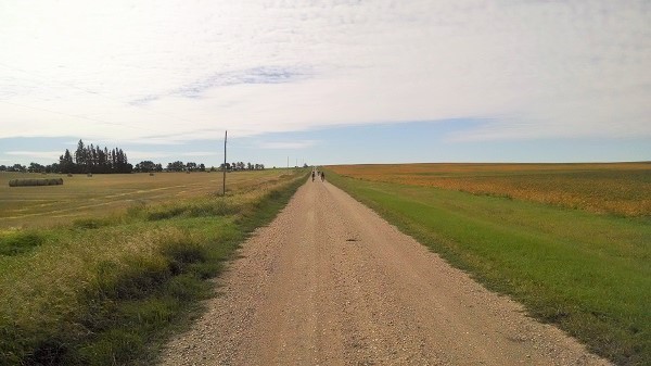 Head for the Hills (6)