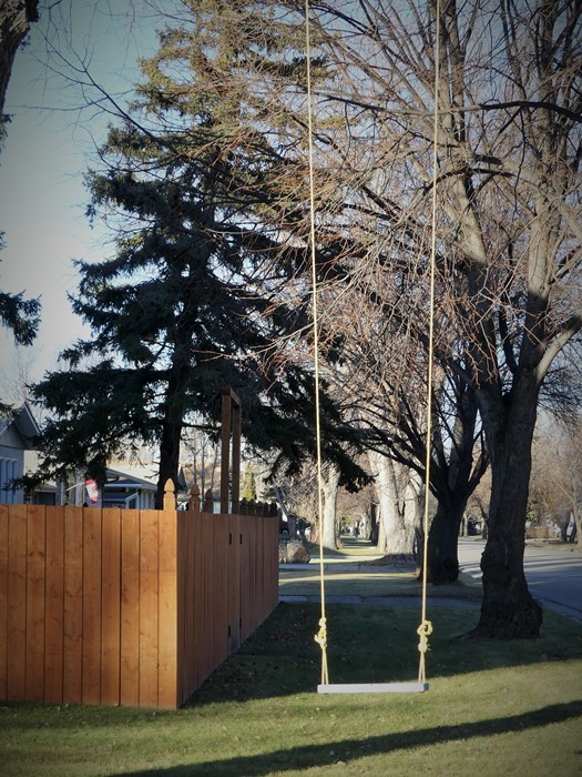 December 2015 (11)