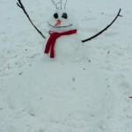 Канадские зимние будни