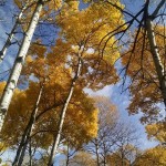 Осень в Riding Mountain (MB)