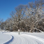 Boundary Trails Nordic Club
