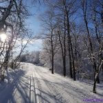 Лыжная свобода в Shannondale